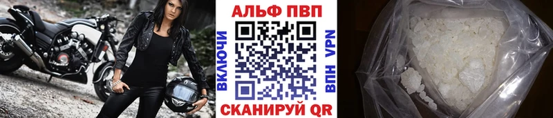A PVP СК Асино