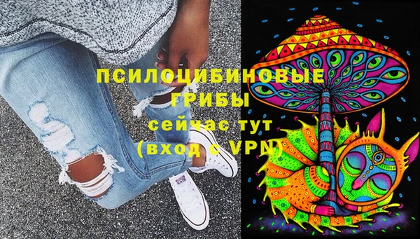 дурь Алзамай