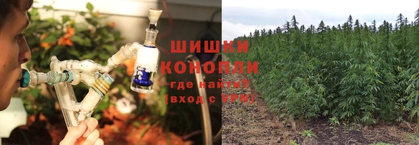 первитин Пестово