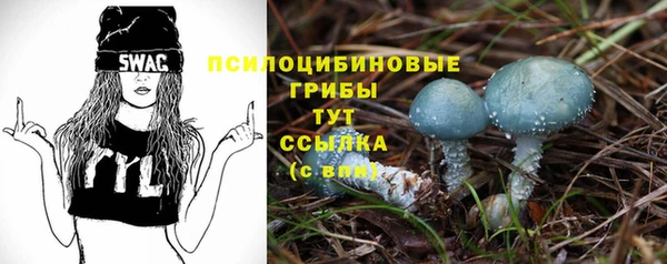 гидра Алексеевка